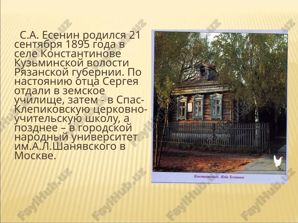 зни сергея есенина - самая сумбурная, с бесконечными ссорами и скандалами. они много раз расходились и сходились вновь. о романе есенина с дункан написаны сотни томов. делались многочисленные попытки разгадать тайну отношений этих двух таких не похожих друг на друга людей. в зимние месяцы 1924/25 гг., когда есенин жил в батуме, он познакомился там с молодой женщиной, тогда учительницей русского языка - шаганэ (шагандухт) нерсесовной тальян (в замужестве тертерян) (1900-1976), они несколько раз встречались, есенин подарил ей свой сборник с дарственной надписью. но с его отъездом из батума знакомство оборвалось, и в последующие месяцы он никаких усилий к его возобновлению не прилагал, хотя имя шаганэ вновь возникло в стихах, написанных в марте, а потом в августе 1925 г. 5 марта 1925 года - знакомство с внучкой льва толстого софьей андреевной толстой (1900-1957). она была младше есенина на 5 лет, в ее жилах текла кровь величайшего писателя мира. 18 октября 1925 …