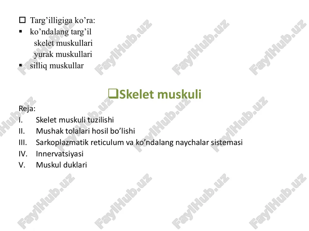 • kapilyar to’ri yaxshi rivojlanmagan • uzoq muddat ish bajaradigan muskullarda uchraydi ( qo’l, oyoq) • tez ish bajaradigan muskullarda uchraydi • (ocular muskul) qyurak muskuli q tipik kardiomiotsitlar § yurak muskul to’qimasining asosiy elementi tipik miotsitlar § bu hujayralar slindrik shaklda, o’z asosi bilan uchma-uch birikib, funksional tolani hosil qiladi § funksional tolalarda qo’shni kardiomiotsitlar kontakt joyi – oraliq disklar deyiladi § oraliq disk sohasida kardiomiotsitlar orasida 3 xil kontakt turi bor: - interdigitatsiya - desmosoma - neksuslar ! qo’shimcha hujayra elementlari • miosatellit yoki kambial hujayralar yurak muskul to’qimasida yo’q • kardiomiotsitlarning o’zi bola tug’ilgan vaqtda yoki hayotining 1-oyida bo’linish xususiyatini yo’qotadi • shu sabab regeneratsiyada yangi kardiomiotsitlar va funksional tolalar shakllanaydi, faqatgina saqlangan hujayralar gipertrofiyasi hisobiga amalga oshadi membrana sistemasi • t naychalar soni ko’p va yirikroq • sarkoplazmatik to’r esa yaxshi rivojlanmagan (terminal sisternaga ega emas), shu sabab diada deyiladi. • ko’plab mitoxondriya tutadi, sitoplazma hajmining …