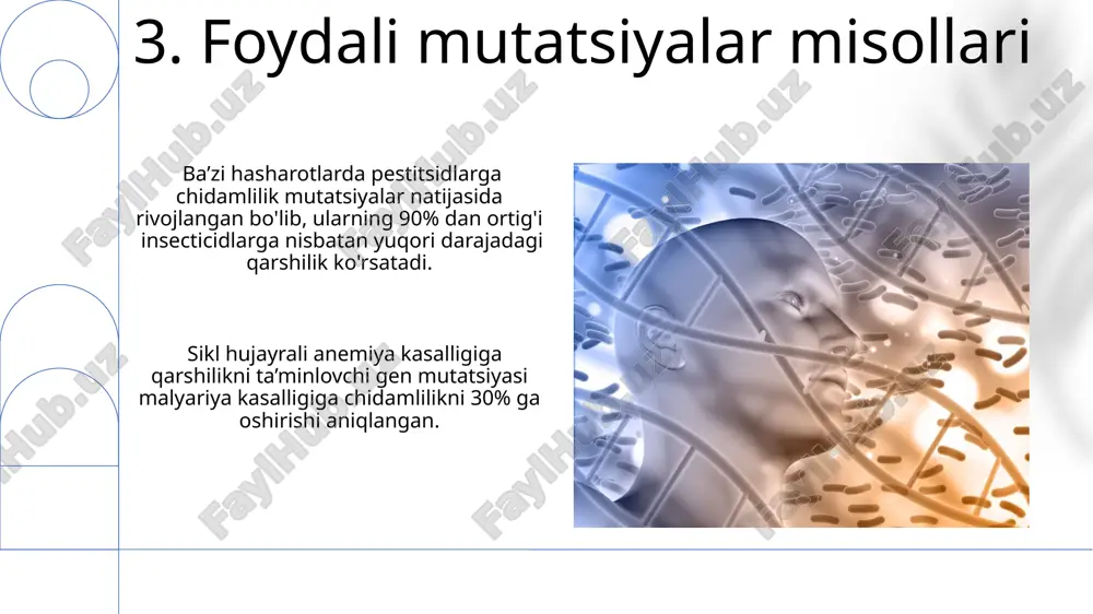 mutatsiya zararlimi? - Page 5