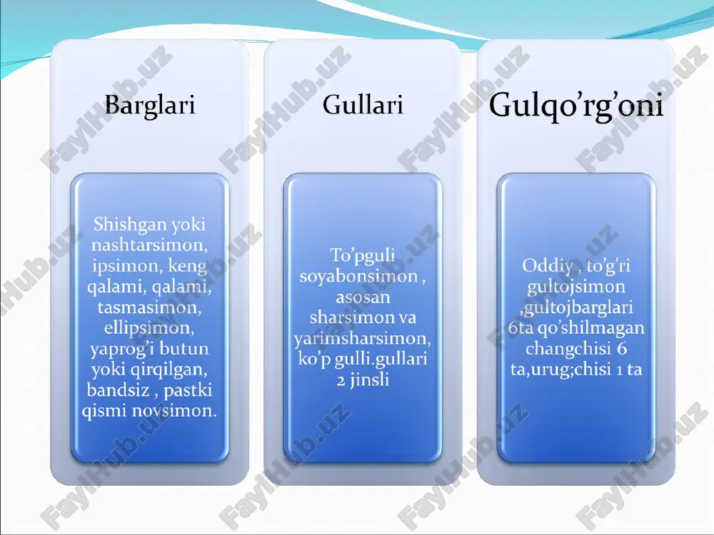 piyozdoshlar oilasi - Page 5