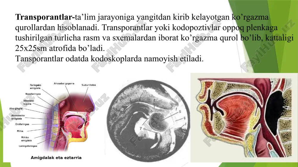 ni o‘rganish tajriba va eksperimentlar ob’yektlarni o‘rganish tajriba va eksperimentlar e’ t i b o r i n g i z u c h u n r a h m a t !!! 19 image1.png image2.jpg image3.png image4.png image5.png image6.png image7.png image8.png image9.png image10.png image11.png image12.png image13.png image14.png image15.png image16.png image17.png image18.png image19.png image20.png /docprops/thumbnail.jpeg