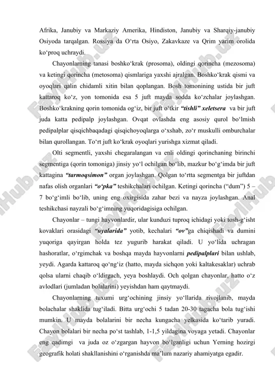 ipalplari bilan ushlab, yeydi. agarda kattaroq qo‘ng‘iz (hatto, mayda sichqon yoki kaltakesaklar) uchrab qolsa ularni chaqib o‘ldirgach, yeya boshlaydi. och qolgan chayonlar, hatto o‘z avlodlari (jumladan bolalarini) yeyishdan ham qaytmaydi. chayonlarning tuxumi urg‘ochining jinsiy yo‘llarida rivojlanib, mayda bolachalar shaklida tug‘iladi. bitta urg‘ochi 5 tadan 20-30 tagacha bola tug‘ishi mumkin. u mayda bolalarini bir necha kungacha yelkasida ko‘tarib yuradi. chayon bolalari bir necha po‘st tashlab, 1-1,5 yildagina voyaga yetadi. chayonlar eng qadimgi va juda oz o‘zgargan hayvon bo‘lganligi uchun yerning hozirgi geografik holati shakllanishini o‘rganishda ma’lum nazariy ahamiyatga egadir. chayon zahri oqsil xarakteridagi murakkab organik modda. zahar mayda hayvonlarni tez o‘ldiradi. chayon zahri – ular aktivlashgan yoz oylarida kuchli bo‘lib, chaqqan odamga bir necha kun azob berishi mumkin. lekin chayon zahridan odam o‘lishi juda kam sodir bo‘ladi. zahar bolalarga tez ta’sir etadi (ayrim hodisalarda bola zaharlanib, nobud bo‘lishi ham mumkin). chayon – zararli hashoratlarni yo‘qotuvchi foydali maxluqdir. telifonlar (uropygi) turkumi. bu …