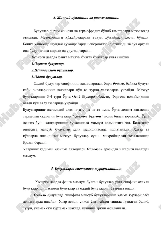 кўп метазоалардан кескин фарқланадиган энг қадимги ва содда кўп ҳўжайрали ҳайвонлардир. уларнинг қадимги қазилма авлодлари палеозой эраси (кембрий даври)дан илгариги қаватлардан ҳам маълум. кўпчилик олимларнинг фаразияларига кўра улар ёқали хивчинлиларнинг колонияли авлодларидан пайдо бўлган. лекин, булутлар кўп ҳўжайралиларнинг содда ва ўзига хос авлоди- “шохчаси” бўлганлигидан улардан бошқа формалар ривожланмаган.