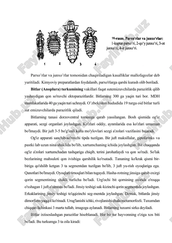 entida joylashgan. erkaklarining jinsiy teshigi to'qqizinchi seg-mentda joylashgan. demak, bitlarda jinsiy dimorfizm yaqqol ko'rinadi. urug'lanishi ichki, rivojlanishi chala metamorfozli. tuxumdan chiqqan lichinkasi 3 marta tullab, imagoga aylanadi. bitlarning tuxumi sirka deyiladi. bitlar ixtisoslashgan parazitlar hisoblanadi. har bir tur hayvonning o'ziga xos biti bo'ladi. bu turkumga 3 ta oila kiradi: 1. gematopidlar (heamatopidael) oilasi vakillarining ko'zi yo'q, tanasi tukcha-lar bilan qoplangan, faqat quruqlikdagi sutemizuvchilarda (primatlardan tashqari) parazitlik qiladi. fil, ot, cho'chqa, qoramol, quyon va bug'u bitlari shular jumla-siga kiradi (99-rasm). bu bitlar parazitlik qilish bilan birga kuydirgi, cho'chqalarda o'lat kasalligini ham tarqatadi. 2. tikanli bitlar (echinophthiridael) oilasiga faqat dengiz sutemizuvchilarida parazitlik qiladigan bitlar kiradi. ularning tanasi tikanchalarga o'xshagan tukchalar bilan qoplangan bo'ladi. tulenlar burun teshiklarining old qismida tulen biti parazitlik qiladi. 3. pedikulidlar (pediculidae) oilasiga faqat odam va odamsimon maymunlarda parazitlik qiladigan bitlar kiradi. odamda bitlarning 3 turi yashaydi, ya'ni bosh biti, kiyim biti va qov biti uchraydi (100-rasm). qov biti …