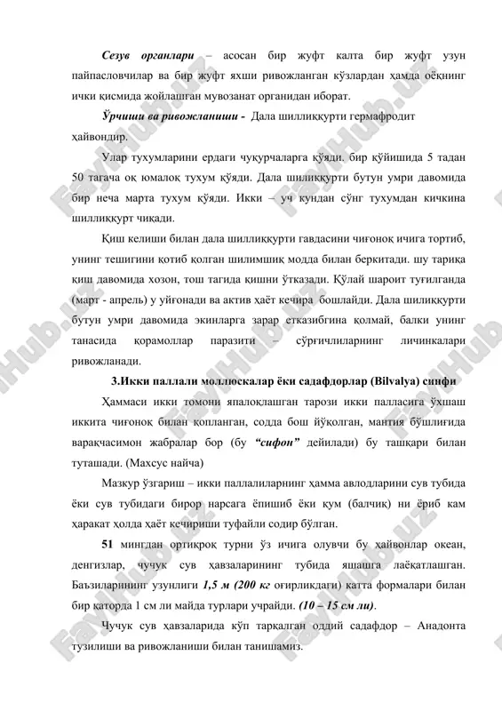 ) томонида оғиз тешиги унинг ён томонида эса икки жуфт оғиз олди пайпаслагичлари жойлашган. овқат ҳазм қилиш – оғиздан бошланган калта қизилўнгач – мускулли ошқазон билан туташган. ичаги жуда узун ҳатто оёғигача. қон айланиш системаси – елка томонидаги иккиламчи тана бўшлиғи юрак олди бўшлиғидаги брак ва тўқималар ҳамда жабраларда жойлашган қон томирларидан таркиб топган. жабраларда оксидланган қон иккита юрак бўлмаларида қуйилиб ундан юрак қоринчага ўтади ва томир орқали тўқималарга тарқалади. айириш системаси – юрак олди қисмга очилган битта бўйрак найчасининг йўли мантия бўшлиғига очилган. у мазкур бўшлиқдан сийдик ажратиб чиқаради. нерв системаси – бир жуфт бош нерв тугуни, бир жуфт ички органлар нерв тугуни ва жуфт оёқ нерв тугунидан таркиб топган. сезув органлари яхши ривожланмаган. кўз йўқ, мувозанат органи оёқнинг учида жойлашган. жинсий органлари: айрим жинсли, уруғдон ва тухумдонлар узум бошига ўхшаб тузилган бир жуфт органлар бўлиб, булар ичак қатламларининг орасида жойлашган. буларнинг бир жуфт йўллари мантия бўшлиғига очилган. кўпайиши …