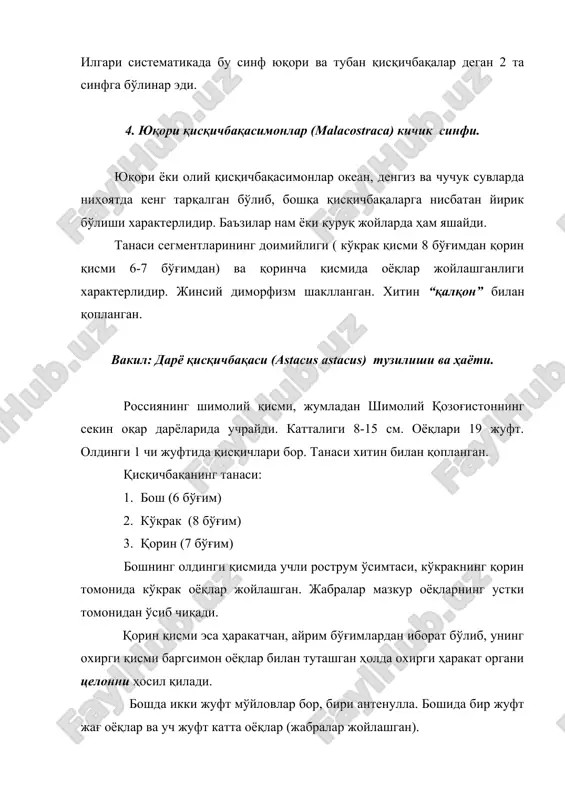 га, яна биттаси эса қорин томонига йўналган. сўнгги томир ўз навбатида қорин томонидан бўйига чўзилган ва оёқларга борадиган томирларни ҳосил қилади. юракнинг қисқариши билан ундаги артериал (оксидланган) қон мана шу томирлар ва лакунлар орқали танага тарқайди. тўқималарда ҳосил бўлган co2 ли веноз қони эса бошқа махсус томирлар орқали жабраларга боргач, оксидланиб юрак олди синусига тўпланади ва шу билан кўрсатиб ўтилган қон ҳаракати (айланиши) янгидан такрорланади. жинсий органлари. эркак қисқичбақаларда битта (аслида бир жуфтдан ривожланган) каттагина уруғдон бўлиб, у узун уруғ йўли билан туташган. булар ҳаммаси кўкрак қисмида жойлашган. уруғ йўлининг найчалари охирги кукрак оёғининг остига очилган. уларнинг дисксимон сперматозоидлари уруғ йилида тўпланиб, ташқарига чиқиши билан биринчи жуфт қоринча оёқлари (қўшилиш органи) ёрдамида қобиққа ўралади. бундай махсус қобиққа ўралган сперматозоидларни сперматофора деб номланади. эркаклар қўшилиш вақтида шу хилдаги урғочининг қоринча оёқларига илаштириб қўяди. урғочилардаги тухумдон яна ҳам каттароқ бўлиб, у ҳам кўкрак бўшлиғида жойлашган. тухумдон бир жуфт калта тухум йўллари билан …