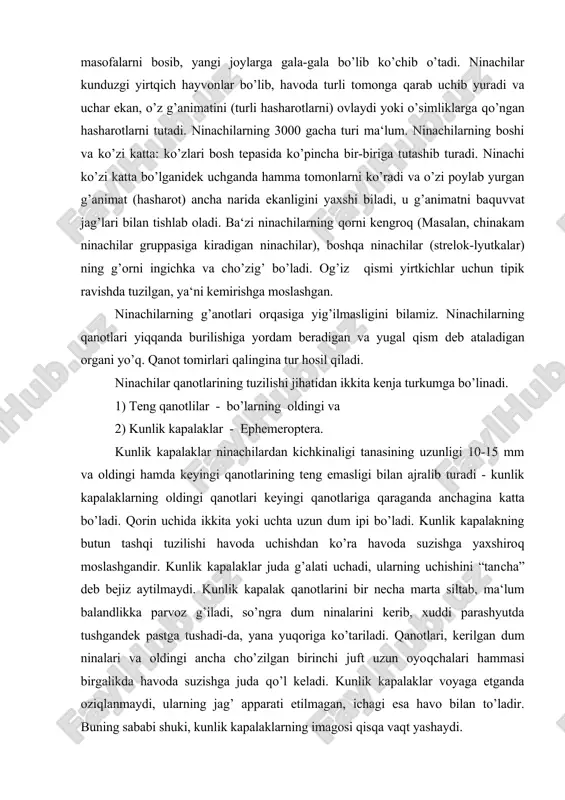 o’zi poylab yurgan g’animat (hasharot) ancha narida ekanligini yaxshi biladi, u g’animatni baquvvat jag’lari bilan tishlab oladi. ba‘zi ninachilarning qorni kengroq (masalan, chinakam ninachilar gruppasiga kiradigan ninachilar), boshqa ninachilar (strelok-lyutkalar) ning g’orni ingichka va cho’zig’ bo’ladi. og’iz qismi yirtkichlar uchun tipik ravishda tuzilgan, ya‘ni kemirishga moslashgan. ninachilarning g’anotlari orqasiga yig’ilmasligini bilamiz. ninachilarning qanotlari yiqqanda burilishiga yordam beradigan va yugal qism deb ataladigan organi yo’q. qanot tomirlari qalingina tur hosil qiladi. ninachilar qanotlarining tuzilishi jihatidan ikkita kenja turkumga bo’linadi. 1) teng qanotlilar - bo’larning oldingi va 2) kunlik kapalaklar - ephemeroptera. kunlik kapalaklar ninachilardan kichkinaligi tanasining uzunligi 10-15 mm va oldingi hamda keyingi qanotlarining teng emasligi bilan ajralib turadi - kunlik kapalaklarning oldin​gi qanotlari keyingi qanotlariga qaraganda anchagina katta bo’ladi. qorin uchida ikkita yoki uchta uzun dum ipi bo’ladi. kunlik kapalakning butun tashqi tuzilishi havoda uchishdan ko’ra havoda suzishga yaxshiroq moslashgandir. kunlik kapalaklar juda g’alati uchadi, ularning uchishini “tancha” deb bejiz …
