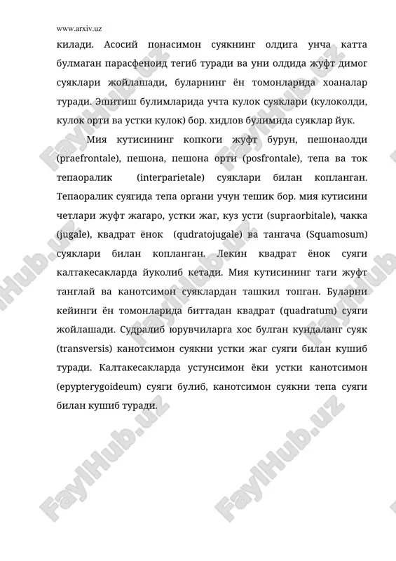 пастки чакка ёйи чакка – квадрат чакка суякларидан иборат. калтакесакларда бош скелетнинг диапсида типини пастки-чакка ёйи йуколади, кушларда эса устки чакка ёйи йуколиб кетади, илонларда иккала чакка ёйлари хам йук. синапсидалар гурухида (дарранда калтакесак, сут эмизувчилар) битта 93-расм. судралиб юрувчилар бош скелетининг редукцияси (схемаси). а-анапсида типидаги бош склет, б-диапсида типидаги бош скелет, в-синапсида типидаги бош скелет. 1-устки чакка чукурчаси, 2-пастки чакка чукурчаси, 3-ягона чакка чукурчаси, 4-кўз суяги, 5-тангача суяк, 6-ёнок суяги, 7-квадрат ёнок суяги. ён чукурча хосил булади ва бу ёйни устки ва пастки ёй элементларидан хосил булган мураккаб ёй: ёнок-квадрат ёнок тангача суяклари чегаралаб туради. елка камаридаги коракоид суяги курак суяги билан кушилган жойда бугин чукурчасини хосил булади, бу чукурчага елка суягининг боши кириб туради (94-расм). курак суягининг устида курак усти тогайи булади, коракоиднинг олдида эса тогай холидаги прокарокоид бор. коракоид ва прокаракоидлар хар иккала томондан ток туш суяги (sternum) билан кушилади; кукрак кафаси оркали олдинги оёк камари ук …