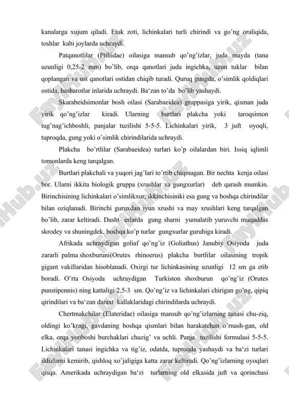 ning kattaligi 2,5-3 sm. qo’ng’iz va lichinkalari chirigan go’ng, qipiq qirindilari va ba‘zan daraxt kallaklaridagi chirindilarda uchraydi. chertmakchilar (elateridae) oilasiga mansub qo’ng’izlarning tanasi chu-ziq, oldingi ko’kragi, gavdaning boshqa qismlari bilan harakatchan o’rnash-gan, old elka, orqa yonboshi burchaklari chuzig’ va uchli. panja tuzilishi formulasi 5-5-5. lichinkalari tanasi ingichka va tig’iz, odatda, tuproqda yashaydi va ba‘zi turlari ildizlarni kemirib, qishloq xo’jaligiga katta zarar keltiradi. qo’ng’izlarning oyoqlari qisqa. amerikada uchraydigan ba‘zi turlarning old elkasida juft va qorinchasi pastida bitta sariq dog’ ko’rinishida yorug’lik beruvchi organi bor. kukuxo (30-40 mm) tur qo’ng’iz chiqargan yorug’likda kechasi kitob o’qish mumkin. chertmakchilar sekin (3-5 yil davomida) rivojlanadi. o’simlikka zarar keltiruvchi turlari ko’p. oltinqo’ng’izlar (buprestidae) oilasi chertmakchilar oilasiga yaqin turadi. bu oilaga mansub qo’ng’izlarning sakrash organi yo’q. old elka orqa chetlarida ingichkalashgan cho’g’g’ilar yo’q. tana formasi dugsimon, ko’pincha metallsimon, yaltirog’. lichinkalari oyog’siz, oldingi qismi keng. lichinkalar daraxtning yog’och g’ismlarida yo’l solib yashaydi. ba‘zi birlari o’rmon va mevali daraxtlarga …
