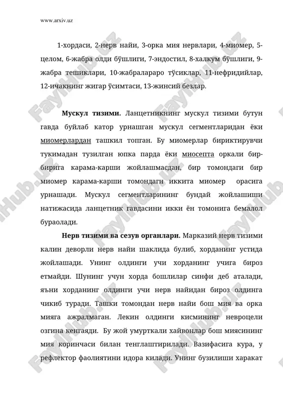 нг кон айланиш тизими: 1-орка аортаси, 2-корин аортаси, 3-жигар венаси, 4-кейинги кардинал вена, 5-жигар копка венаси, 6-ичак ости венаси, 7-олдинги кардинал вена. айриш тизими. ланцетникларнинг айириш органи халкумнинг устида жойлашган куп сонли (90 жуфтгача) нефридийлардан иборат (9-расм). хар икки жабра ёригига биттадан нефридий тугри келади. нефридийлар бир канча тешиклар (нефростома) оркали гавда бушлигига (целом) ва битта умумий тешик оркали жабра олди бушлигига очилади. умуман ланцетникнинг ажратиш органи содда тузилган булиб, унинг нефридийлари халкали чувалчангларнинг нефридийларига ухшаб кетади. 9-расм. ланцентникнинг буйрак найчалари (нефридийлари): i-нефростом ва солоноцитлари, ii-буйрак найча деворининг бир кисми ва унда жойлашган солоноцит оиласи. 1-жабра ёригининг устки учи, 2-жабра олди бўшлигидаги буйрак найчасининг тешиги. урчиш органлари. ланцетник айрим жинсли хайвон булиб, ташки томондан ухшаш булган уругдон ёки тухумдон целомнинг жабра кисмида жойлашади (6-расм). хар-бир жинсида 25 жуфт жинсий безлар ривожланади. уларнинг чикариш йуллари йук ва пишиб етишган жинсий хужайралар жинсий безларнинг деворини ёрилиши оркали артериал бушликка тушади. кейин атриопор …