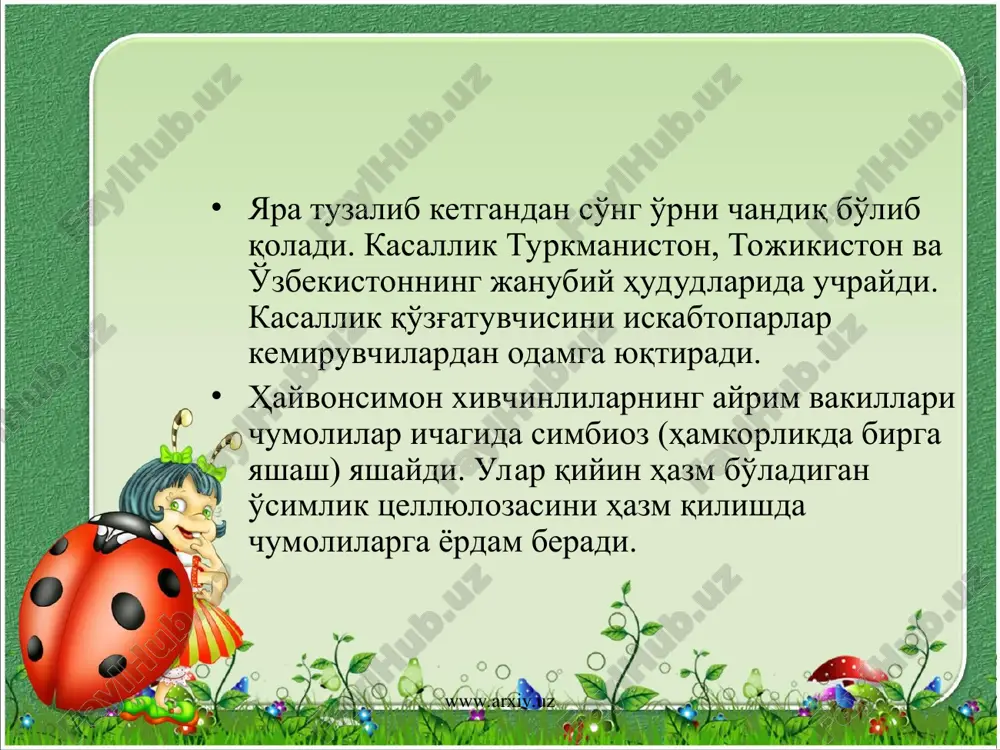 змага сўрилади. ҳазм бўлмаган озиқ қолдиғи танасининг кейинги қисмидаги махсус чиқарув тешиги (порощица) орқали организмдан чиқариб юборилади. туфелька бактериялар ва бошқа бир ҳужайрали майда организмлар, органик моддалар қолдиғи билан озиқланади. www.arxiv.uz www.arxiv.uz нафас олиши ва айириши. туфелька ҳам барча ҳайвонлар каби тана юзаси орқали сувда эриган кислород билан нафас олади. моддалар алмашинуви натижасида ҳосил бўлган зарарли маҳсулотлар ва ортиқча сув танасининг олдинги ва кейинги қисмида жойлашган қисқарувчи вакуолалар ёрдамида чиқариб ташланади. ҳар бир қисқарувчи вакуола йиғувчи узун найчалар, суюқлик сақловчи пуфакчалар ва чиқарув найчасидан иборат. сув ва моддалар алмашинувининг кераксиз маҳсулотлари дастлаб йиғувчи найчаларга, улардан вакуола пуфакчасига ўтади. пуфакча девори қисқариши туфайли суюқлик чиқарув найчаси орқали ташқарига чиқариб юборилади. туфелька танасида нерв толалари топилмаган. лекин у ҳарорат, кимёвий, ёруғлик ва турли механик таъсирни сезиш хусусиятига эга. ҳаракатланиши. туфелька танаси сиртида жойлашган киприкчаларнинг эшкакка ўхшаб бир меъёрда тебраниши натижасида сузиб юради. киприкчалар тана сиртида спираль қатор ҳосил қилиб жойлашганлиги сабабли туфелька …