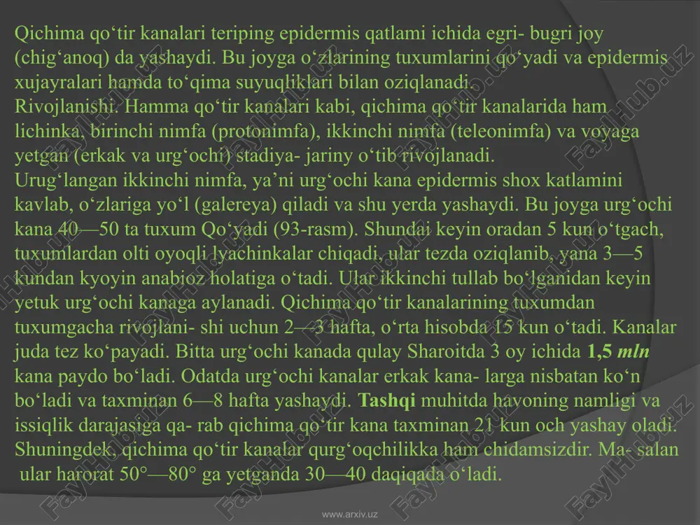terisining juni qalin joylari jarohatlanadi. qo‘ylar terisini qashiydi, tishlaydi, buning natijasida teri travmatik jarohatlanadi. junlari tutam-tutam bo‘lib to‘kiladi, teri po‘stloqli va yiringli yallig‘lanadi, qo‘yda kalinik belgilari ko‘rinadi, oriqlaydi va qo‘ylar sovuq tushishi bilan halok bo‘ladi. yozda juni qirqilgandan keyin qo‘ylar tuzala boshlaydi. terisining juni tushgan joylaridan jun chiqadi. bunday qo‘ylar tashqi ko‘rinishi jihatidan sog‘lom hisoblanadi. ammo ular qo‘tir kanalarining manbaidir. www.arxiv.uz xorioptoz (terixo‘r qo‘tir). xoriontoz surunkali kechadigan teri usti qo‘tir kasalligi bo‘lib, uni xoriontes avlodiga mansub, uzunligi 0,4—0,5 mm kana qo‘zg‘aydi. bu kana terisining ustki qismida yashab, teridan ko‘chib ajralayotgan enidermis hujayralari (qiniq qazg‘oq) bilan oziqlanadi. www.arxiv.uz otodektoz (quloq qo‘tiri). otodektoz ham surunkali kechadigan invazion kasallik bo‘lib, otodektos avlodiga kiradigan terixo‘r otodektos sinatis qo‘tir kana qo‘zg‘aydi. kasallik, it, tulki, mushuklarda uchraydi. terixo‘r kanalar qo‘z- g‘atadigan kasallikka yovvoyi hayvonlar urchitiladigan xo‘jaliklarda uchraydi. bunday holat tulki bolalarining og‘ir kasallanganligi bilan kuzatilgan. kanalar quloq tog‘ay suprasining ichki tomonida, tashqi eshitish yo‘lida hamda quloqning …