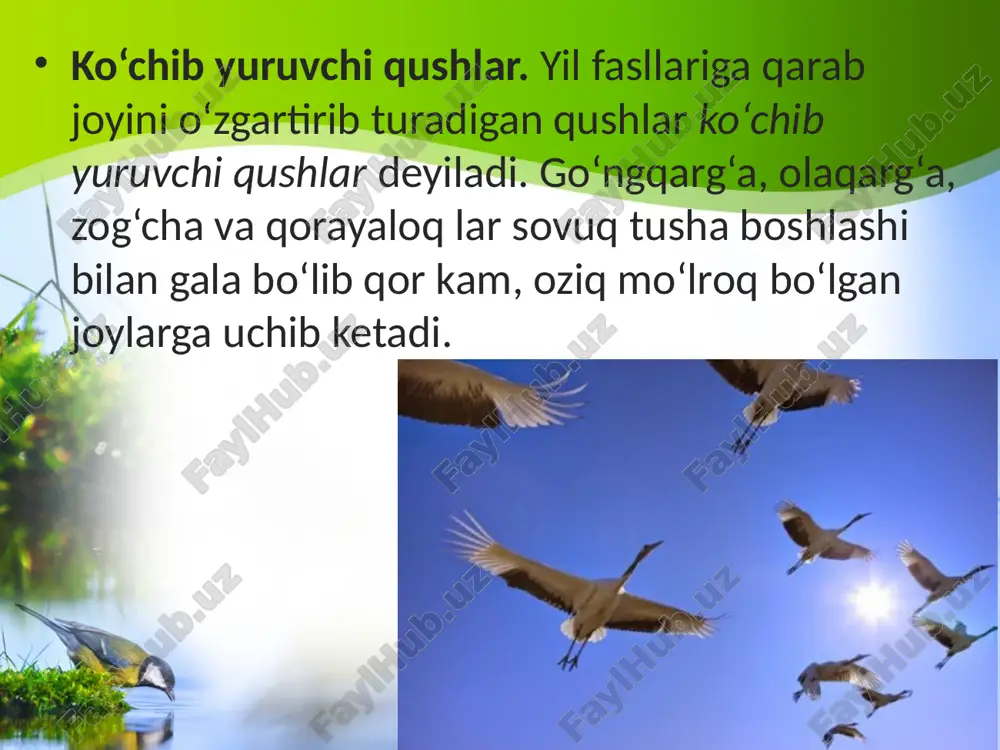qushlarning mavsumiy hodisalarga moslashishi. 7- sinf - Page 5