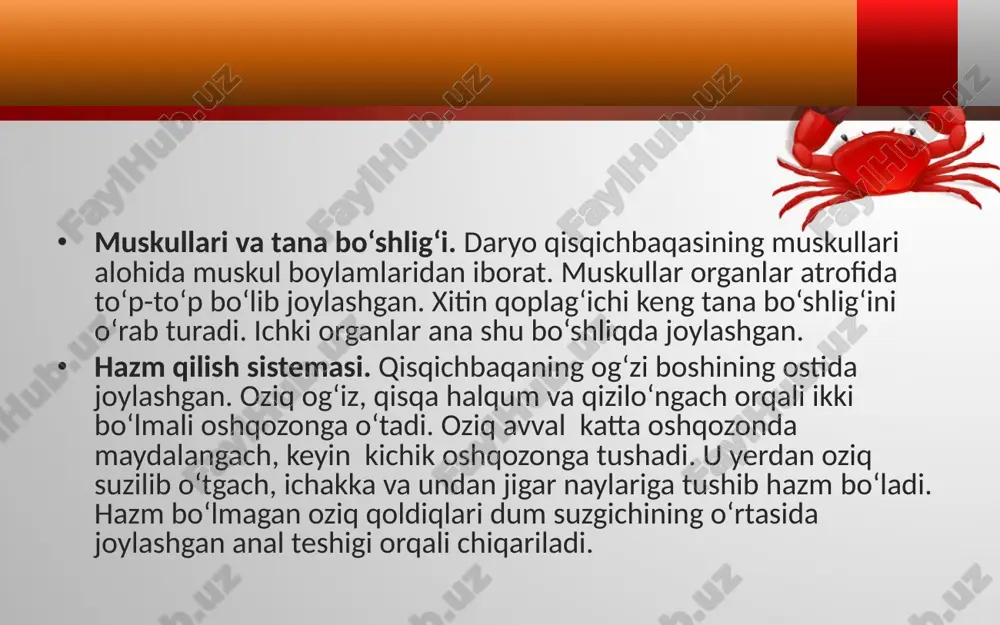 daryo qisqichbaqasining ichki tuzilishi. 7- sinf - Page 5