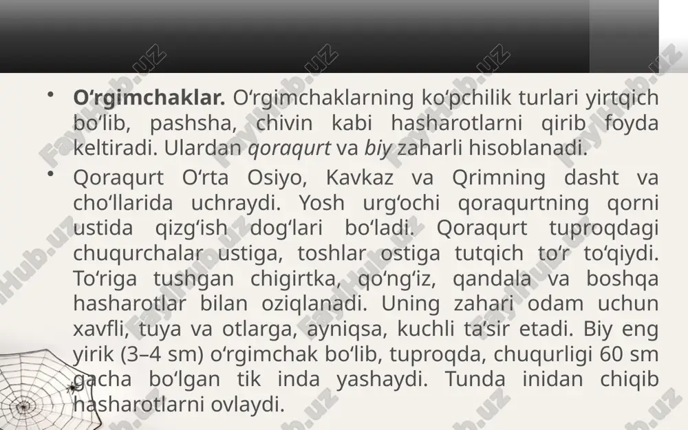 o‘rgimchaksimonlarning xilma-xilligi. 7- sinf - Page 5