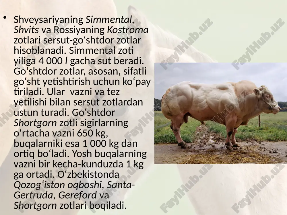 sutemizuvchilar sinfiga mansub chorva mollari. 7- sinf - Page 5