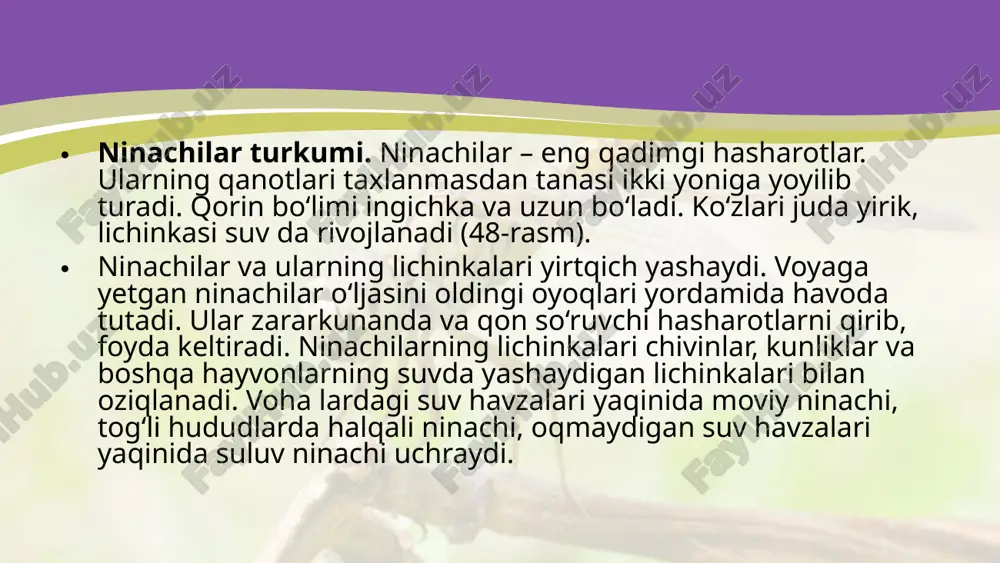 chala o‘zgarish bilan rivojlanadigan hasharotlar. 7- sinf - Page 5