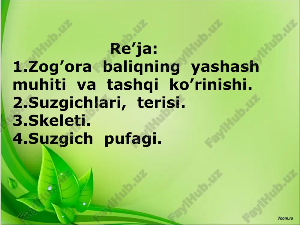 baliqlarning tashqi tuzilishi, skeleti, suzgich pufagi - Page 5