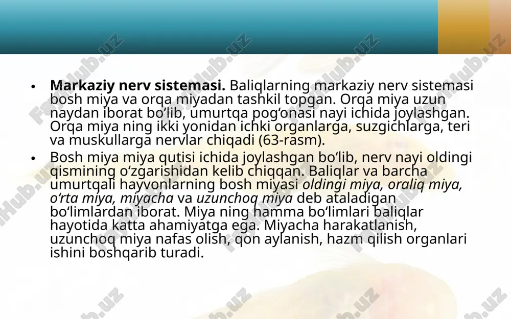 nerv sistemasi va sezgi organlari. 7- sinf - Page 5