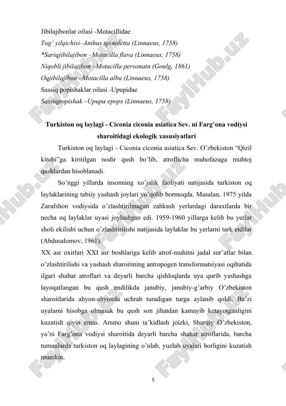 isoblar olib borildi. marshrut hisoblari mobaynida biz tomonimizdan jami 19 turga mansub qushlar uchratilib, ular orasida turkiston oq laylaklarining soni umumiy qushlar soniga nisbatan 7,23% ni tashkil etadi. hisoblarga ko’ra farg’ona vodiysida ularning soni yil bo’yi deyarli bir xil bo’ladi. faqatgina yozda turkiston oq laylaklari bolalari tuxumdan chiqish davrida ularning soni yuqori bo’ladi. aksincha qishki davrda aksariyat mintaqalarda ularning soni sezilarli darajada kam bo’ladi. chunki bu davrda turkiston oq laylaklari asosan baliqchilik xo’jaliklari atroflarida to’planishadi. bahorgi davrda mashrutlarda olib borilgan hisoblarda jami 4262 ta qush sanalib turkiston oq laylaklarining soni ular orasida 5,28% ni tashkil etdi va har 1 km masofaga 0,97 ta turkiston oq laylagi to’g’ri keldi. yozgi davrda turkiston oq laylaklarining soni bir oz oshadi. bu esa yuqorida aytganimizdek ularning tuxumdan chiqqan polaponlari evaziga amalga oshadi. bu davrda marshrutlarda olib borilgan hisoblarda o’rtacha 4822 ta qush sanalib, turkiston oq laylaklari miqdori ular orasida 14,26% ni tashkil etdi va …
