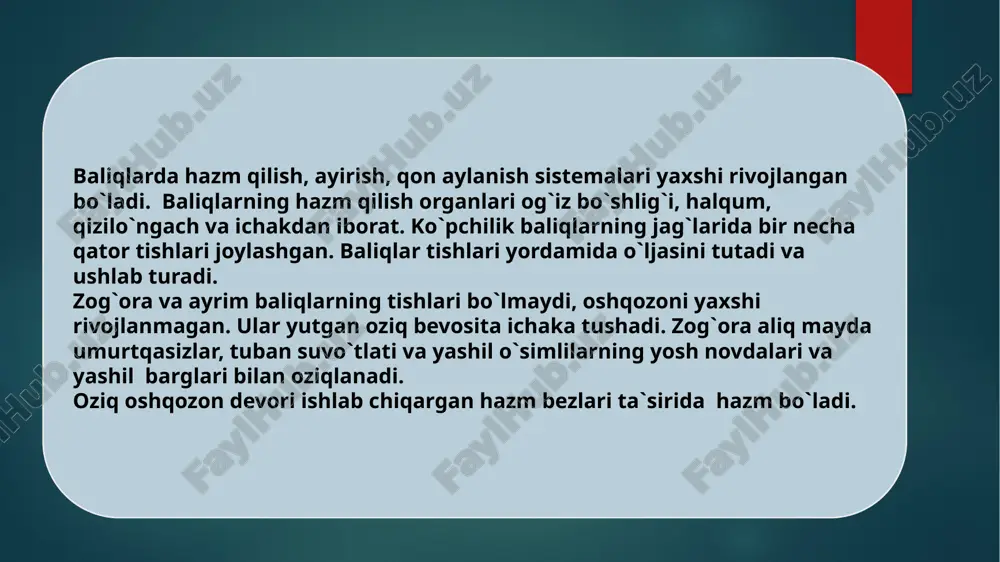 baliqlarning ichki tuzilishi (dars ishlanma) - Page 5