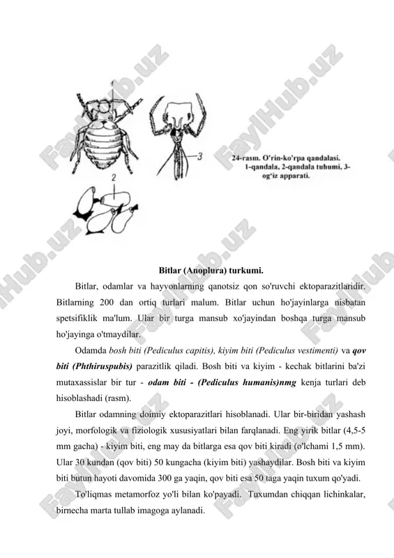 o'rigidan o'tkazib, turish lozim. bitlarni yo'qotish uchun maxsus insektitsidlar qo'shilgan malham moylari, shampunlar, dori preparatlaridan foydalaniladi. adabiyotlar: 1. abduraxmanov g.m., lopatan i.k., ismailov sh.i. osnovo’ zoologii i zoogeografii. uchebnik dlya studentov vo’sshix pedagogicheskix uchebno’x zavedeniy. m., izdatelskiy tsentr «akademiya» 2001. 2. abuladze k.i. i dr. parazitologiya i invazionno’e bolezni selskoxozyaystvenno’x jivotno’x. uchebnik dlya studentov vuzov po spetsialnosti "veterinariya". m., 1990. 3. akbaev m.sh. i dr. parazitologiya i invazionno’e bolezni jivotno’x. uchebnik dlya studentov vuzov po spetsialnosti «veterinariya». m. kolos, 2000. 4. biologiya. bolshoy entsiklopedicheskiy slovar. nauchnoe izdatelstvo "bolshaya rossiyskaya entsiklopediya". m. 1998. 5. burdelev t.e. i dr. osnovo’ veterinarii. uchebnik. m.,1978. 6. genis d.e. meditsinskaya parazitologiya. m. 1991.
