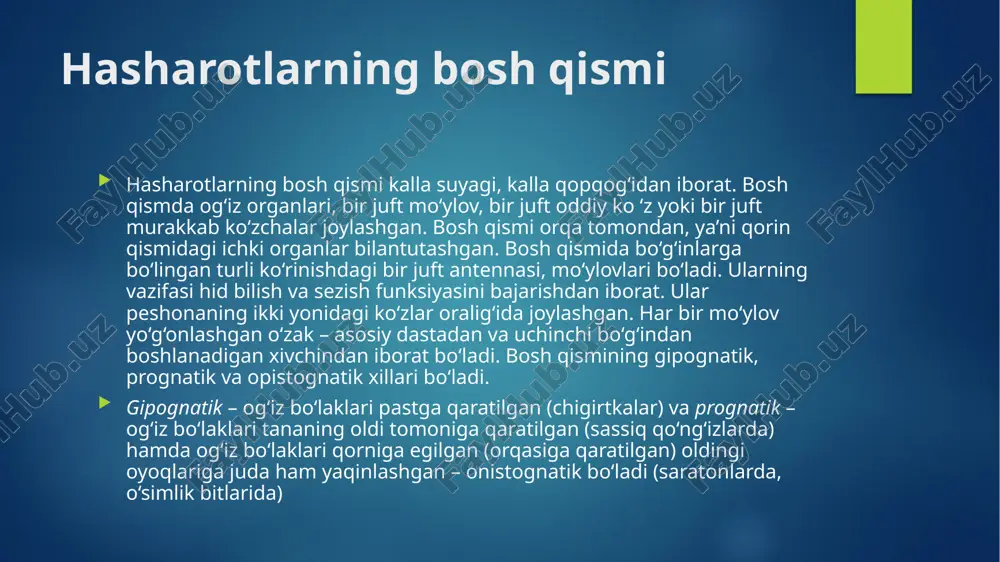 ko’kragi old, o’rta va orqa ko’krak deb ataladigan 3 ta bo’g’imdan tuzilgan. har bir ko’krak bo’g’imi 4 ta xitin qoplag’ich – skleritdan iborat. skleritlar- ning nomi orqa skleriti- tergit qorin skleriti- sternit ikkita yon skleritlari- plevrit. hasharotlarning qanoti ko‘pchilik hasharotlarda ikki juft qanot bo‘lib, ularning birinchi jufti o‘rta ko‘krakka va ikkinchisi orqa ko‘krakka joylashadi. lekin ikki qanotlilarda qanot bir juft bo‘lib, ular o‘rta kurakka, orqa kurakka esa yo‘qolib ketgan orqa qanot rudimentlari o‘rnashadi. hasharotlar qanoti ikkita yupqa plastinkadan iborat bo‘lib, ular o‘rtasidan to‘rt tomoni berk katakchalar hosil qiladigan tik va ko‘ndalang tomirlar o‘tadi. tomirlarning soni va joylashishi har xil. tuban hasharotlar qanotida ko‘proq ko‘ndalang tomirlar bo‘ladi, qanot tomirlari qanot pardalarini ko‘tarib turuvchi mexanik tirgak vazifasini bajaradi. ichi g‘ovak bo‘lgan ayrim tomirlar orqali oziq modda tashuvchi qon oqadi. hasharotlar qanotlarini tutib turishida va ularni oziqlanishida uzunasiga ketgan tomirlar katta ahamiyatga ega bo‘lib, ular quyidagi xillarga bo‘linadi: c – kostal tomir. bunda …