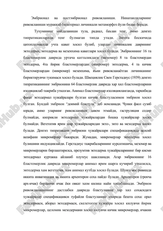 ва тупланишига олиб келади. иккинчидан, мезодерманинг асосий кисми энтодермал урта ичакдан хосил булади. ичакнинг юкори ёпик учки томони кайрилиб, олдинги ичак эктодермадан хосил булади. шундай килиб, ичаклартулик хосил булади. гаструляциянинг кейинги боскичида архентерон хужайралар кайта силликланиб, ичаклар ингичка ва узун булиб колади. архентероннинг учидаги иккиламчи мезенхима тушиб кетиб, унинг хужайралари узун ипсимон филоподияни (лотинча filum-ип, грекча nous-оёк) хосил килади. тахмин киинишича, бу хужайралар архентерон ва бластула девори билан туташади ва филоподий кискариши туфайли архентерон тортилади. иккиламчи мезенхима бирламчи ичакнинг булажак орал томонга букилиши оркали морфогенетик жараёнларда иштирок этади. архентерон букилиши натижасида эктодермага якинлшнади ва стомодеумни хосил килади. бу билан бир вактда гаструланинг анимал сохаси кискаради, вегетатив сохаси кенгаяди, личинка конуссимон призма боскичига утади. бу боскичда орал-аборал ук аник билинади, вегетатив соха ва бластопор личинканинг корин томонига жойлашади. эмбрионнинг анимал-вегетатив уки спецификацияси туфайли эктодерма, энтомезодерма ва скелетоген мезенхима хосил булиши гаметогенез жараёнида юзага келса, орал-аборал укининг жойлашуви уругланишдан кейин, майдаланиш даврида …
