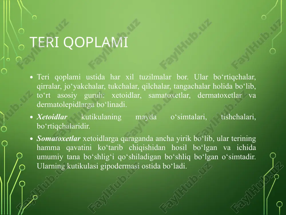 ‘lib, uning tarkibi har xil hasharotlarda, hatto bitta hasharot tanasining turli qismlarida va hayotining har xil davrlarida turlicha bo‘ladi. hasharot qoplamining mexanik jihatdan puxta va qattiq bo‘lishi xitinning miqdoriga bog‘liq degan fikrlar bor. xitin elastik modda, qoplamning qattiqligi xitin bilan boshqa moddalar aralashmasidan vujudga keladi va asosan kutikulinning miqdoriga bog‘liq bo‘ladi. xitin rangsiz modda, ammo melanin bo‘lishi tufayli ekzokutikula - qoramtir rangga kiradi. ekzokutikula puxta va qattiq bo‘lganligi tufayli hasharotni mexanik va kimyoviy ta‘sirlardan saqlaydi. ekzokutikula gomogen va strukturasiz moddadir. endokutikula - asosan teri qoplamining ostidagi qavat gipodermadan ishlanib chiqadigan xitinidan iborat. endokutikula tolasimon tuzilishga ega. tolalar qavati ko‘pincha gorizontal holatda joylashgan. odatda, kutikula, xususan ekzokutikula bo‘g‘imlar o‘rtasida ancha yupqa bo‘ladi, bu esa tananing ayrim qismlarini harakatchan bo‘lishini ta‘minlaydi. gipoderma bir qavat hujayralardan iborat bo‘lib, teri epiteliyasini hosil qiladi va kutikulaning ostida joylashgan hujayralar silindr shaklda yoki ostki tomoni o‘simtali bo‘ladi; hujayralar ichidagi yadro yumaloq yoki oval shaklga ega. gipodermaning …