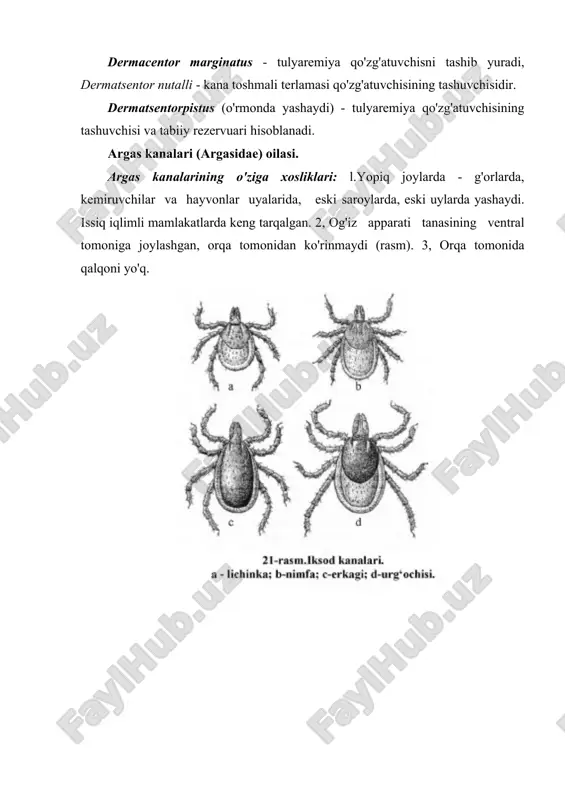 abab bo'lishi mumkin. odamga hayvonlarning qichima kanalari ham yuqishi mumkin. lekin ular qichimaning yengil shaklini qo'zg'atadi, va bu kasalliklar oson davolanadi. tashxis - terida to'g'ri va egri - bugri oqimtir ingichka yo'lchalar aniqlanishi asosida qo'yiladi. ko'pincha ingichka yo'l uchidagi pufakchada kanani topish mumkin. profilaktikasi - shaxsiy profilaktika - kasallar bilan muloqatda bo'lganda shaxsiy gigiena choralariga amal qilish (birovlarning sochiqlari, kiyimlari, o'rin-ko'rpasidan foydalanmaslik) orqali, jamoat profilaktikasi ehsa - kasallarni aniqlash, davolash, kasallar kiyimlarini va o'rin - ko'rpalarini dezinfeksiyalash orqali amalga oshiriladi. odamlar ko'p to'planadigan joylarda, poezdlar, avtobus va samolyotlarda o'rindiqlarni dezinfeksiyalashga katta e'tibor berilishi lozim. adabiyotlar: 1. abduraxmanov g.m., lopatan i.k., ismailov sh.i. osnovo’ zoologii i zoogeografii. uchebnik dlya studentov vo’sshix pedagogicheskix uchebno’x zavedeniy. m., izdatelskiy tsentr «akademiya» 2001. 2. abuladze k.i. i dr. parazitologiya i invazionno’e bolezni selskoxozyaystvenno’x jivotno’x. uchebnik dlya studentov vuzov po spetsialnosti "veterinariya". m., 1990. 3. akbaev m.sh. i dr. parazitologiya i invazionno’e bolezni jivotno’x. uchebnik dlya …