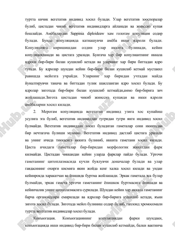 пишкок буртмасига ёпишади ва кейинчалик унинг цитоплазмасига сурилади. шундан кейин хар иккала гаметанинг барча органоидлари емирилади ва ядролар бир-бирига кушилиб кетади, яъни зигота хосил булади. зиготада мейоз булиниш содир булиб, гаплоид хромосомали туртта вегетатив индивидлар хосил булади. конъюгация. конъюгациянинг копуляциядан фарки шундаки, конъюгацияда икки индивид бир-бири билан кушилиб кетмайди, балки вактинча жуфтлашади. бу даврда улар маълум бир ядроларини бир-бирига алмашиб оладилар ва бир-биридан ажралади. конъюгация натижасида купайиш содир булмайди, конъюгациянинг мухим биологик ахамияти шундан иборатки, хар иккала конъюгантнинг ирсий хусусиятлари узгаради, яъни янгиланади. конъюгация факат инфузорияларда учрайди. конъюгация икки хил булади. морфологик жихатдан бир хил инфузориялар уртасида содир буладиган конъюгация изогам конъюгация дейилади. бунда конъюгацияга учраган хар бир конъюгантнинг макронуклеуси парчаланиб кетади, микронуклеуси эса икки марта мейоз (редукцион булиниш) йули билан булинади. хосил булган туртта гаплоид ядродан учтаси дегенерацияга учрайди, биттаси эса яна бир марта булиниб, миграцияланувчи (кучувчи) эркак пронуклеус ва стационар (утрок) ургочи пронуклеусни хосил килади. цитоплазманинг юпка пардаси …