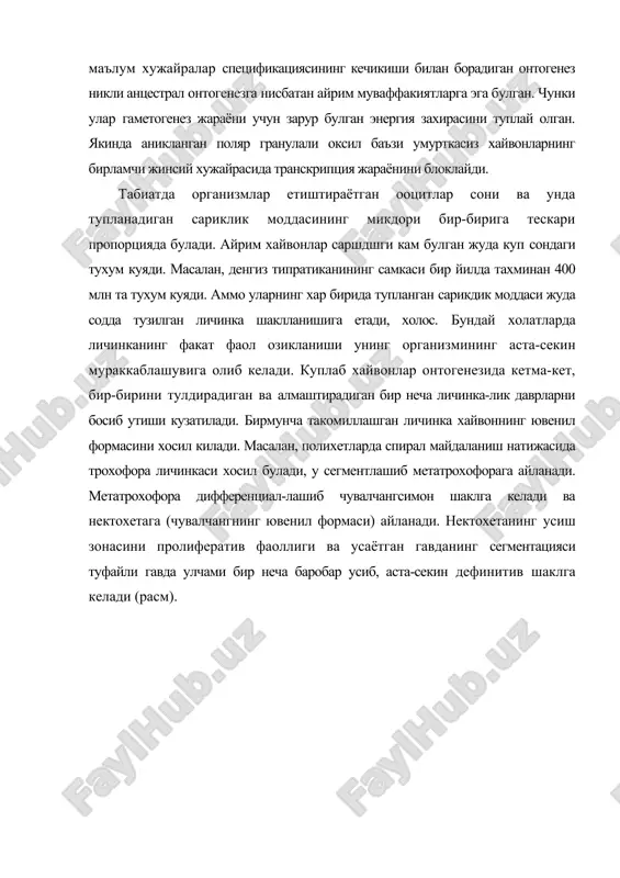 ур энергия манбаи билан таъминлашдир. умурткасиз хайвонларнинг пелагик личинкаларини лецитотроф ва планктотроф формалари фаркланади. лецитотроф личинкалар (грекча лецитос - тухум сариги, трофос - озивданиш) учун энергетик ресурс тухумда захираланган саршдшк моддаси хисобланади. планктотроф личинкалар фитопланктонлар билан озикланади. планктотроф личинкалар махсус личинкалик органлари - киприкли халка (трохофора) ёки киприкли иплари (диплеврула) ёрдамида овкат булакларини огиз бушлиги томонга йуналтиради. личинка асосан, сувда эрийдиган ва денгиз сувидан ушлаб олинган овкат булаклари билан озикланади (дондуа, феодорова, 1986, jackle, 1995). планктотроф личинкаларнинг хосил булиши ва унинг эртарок фаол озикланишга киришиш имконияти мавжудлиги тухумда сариклик моддаси жуда кам булса хам содир булади. бу ходиса айникса, ихтисослашган гонадаси булмаган хайвонлар учун мухим ахамиятга эга. фаол озикланиш механизмини ишга туширишга йуналтирилган ривожланиш стратегияси захира сариклик ва бошка энергияга бой булган моддалар хамда органеллалар кам булса, куп сонда тухум куйиш имкониятини беради. лецитотроф личинкалар ривожланишида овкат хазм килиш органлари кечрок пайдо булади. масалан, тубан куп хужайралиларнинг бластуласимон паренхимула ва …