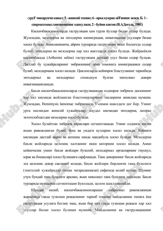 ивожланиш метаморфоз йули билан боради. тухумдан кичик науплиус личинкаси чикади. унинг тузилиши жуда примитив, дефинитив органлари постэмбрионал ривожланиш боскичида пайдо булади. агар кискичбакасимонларнинг тухумида сариклик моддаси куп булса, бундай тухумлар юзаки майдаланади. буларда личинкалик даври тулик тухум кобигининг ичида утади ва тухумдаги сариклик моддаси хисобидан озикланиб, тухумдан тулик шаклланган ёш кискичбака чикади, лекин жуда кичик булади. бундай ривожланиш тугри ривожланиш дейилади ва у баъзи дафниялар, мизидлар ва дарё кискичбакасига хосдир. метаморфоз йули билан ривожланадиган кискичбакасимонларнинг хар хил гурухларида метаморфоз хар хил утади. улар личинка даврларининг сони ва тузилиши билан бир-биридан фарк килади. кискичбакасимонлар-нинг купчилик гурухларини (жабраоёклилар, муйловоёклилар, креветкалар) тухумидан ташки томони сегментлашмаган науплиус личинкаси чикади. унинг уч жуфт оёги: битта усимтали антенулла, икки тармокли антенна ва мандибуладан иборат. антенна жинсий вояга етган вакилларидаги каби огиздан олдинда эмас, кейинрокда жойлашган. науплиуснинг ток науплиал кузи бор. науплиус гавдасининг охирида анал тешиги, ундан олдинрокда усиш зонаси жойлашган. усиш зонасидан янги сегментлар ва унинг …