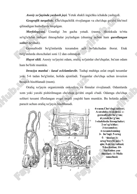 ’x. uchebnik dlya studentov vuzov po spetsialnosti "veterinariya". m., 1990. 3. akbaev m.sh. i dr. parazitologiya i invazionno’e bolezni jivotno’x. uchebnik dlya studentov vuzov po spetsialnosti «veterinariya». m. kolos, 2000. 4. biologiya. bolshoy entsiklopedicheskiy slovar. nauchnoe izdatelstvo "bolshaya rossiyskaya entsiklopediya". m. 1998. 5. burdelev t.e. i dr. osnovo’ veterinarii. uchebnik. m.,1978. 6. genis d.e. meditsinskaya parazitologiya. m. 1991.