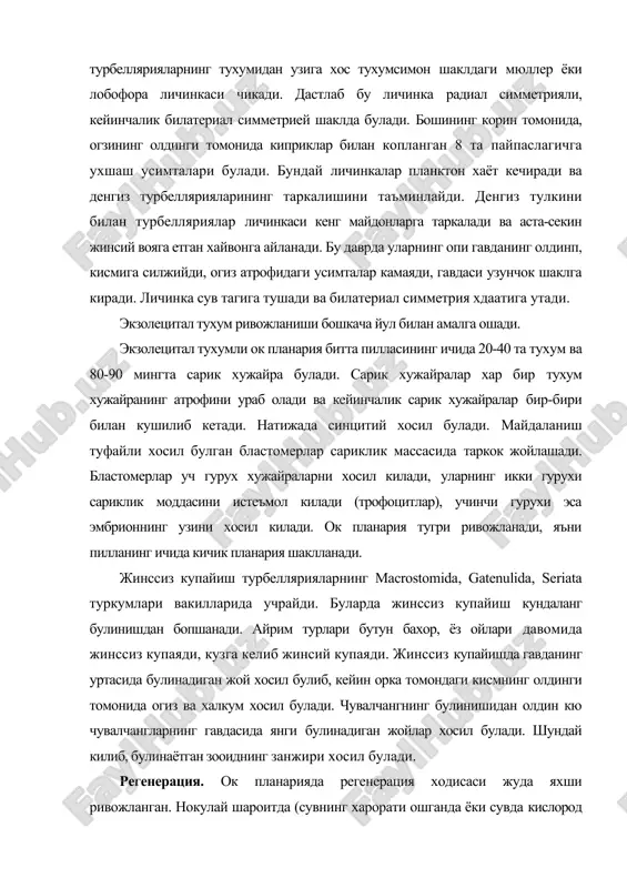 иши ва эволюциясида мухим ахамиятга эга эканлиги в.н.беклемишев (1964), аб.иванов (1968), о.м.иванова-казас (1995) каби олимлар томонидан кайд этилган. а.в.ивановнинг (1968) фикрича, ичаксиз турбелляриялар (acoela) туркуми вакиллари фагоцителласимон аждодларидан келиб чиккан булиб, улар барча бирламчи огизлиларнинг аждодларидир. чунки огиз тешигининг йуклиги уларнинг примитивлигидан далолат беради. аммо айрим олимларнинг фикрича, паренхимада овкат хазм булиши, майдаланишнинг дуэт типининг мавжудлиги бу хайвонларнинг эволюцион жихатдан иккиламчи эканлигидан далолат беради (smith, tyler 1985; ellis, fausto-sterling, 1997). ammo молекуляр-биологик тадкикотлар курсатишича, acoela тукумининг acoelomorpha вакиллари билатериал хайвонларнинг асосида турувчи анцестрал вакиллардир. бошка томондан турбеллярияларнинг rhabditophora ва уларга якин булган catenulida вакиллари моллюскалар ва халкали чувалчангларнинг целомик аждодларига ухшайди (lockier et al, 2002). трематодларнинг (trematoda) купайиши ва индивидуал ривожланиши жинсий органларининг тузилиши. трематодларнинг жинсий органлари жуда мураккаб тузилган. ташки жинсий тешиги организмни хар хил кисмида жойлашган. эркаклик ва ургочилик жинсий тешиги бирланшб умумий жинсий клоакани хосил килади. баъзиларида 2 та сургич уртасида 2 та жинсий тешик ёнма-ён жойлашган …