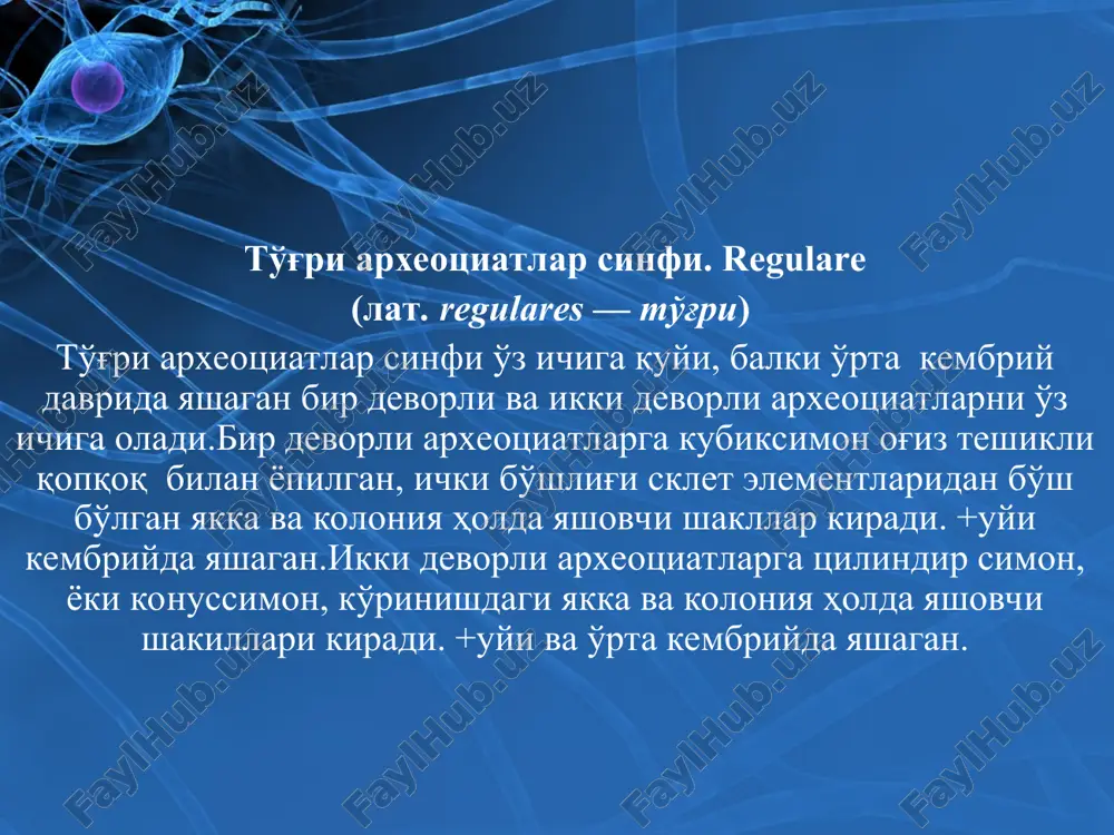 археоциатлар типи - Page 5