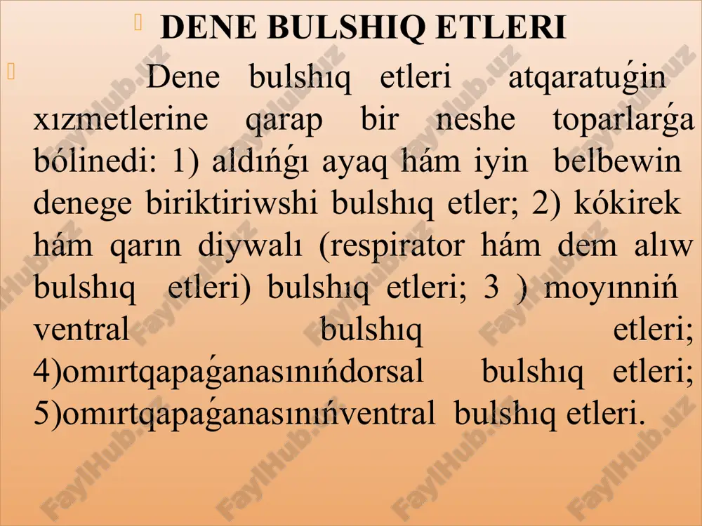 pán. haywanlar anatomiyasi ámeliy shiniǵiw - Page 5