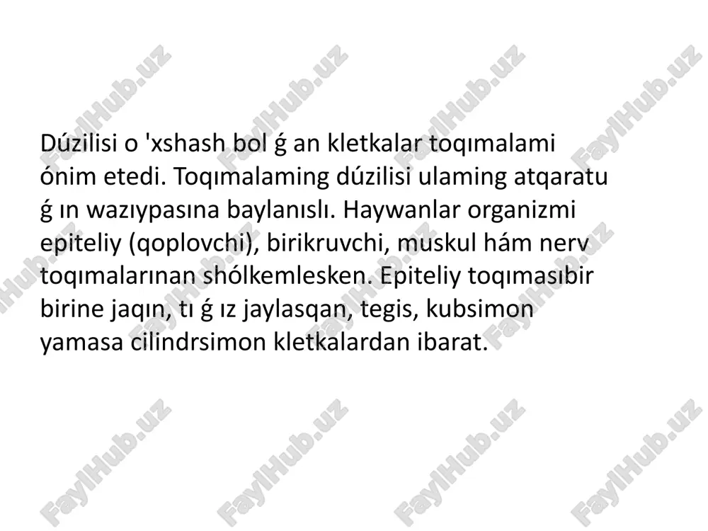 haywanlardin dene duzilisi ham tirishilik etiw belgileri - Page 5
