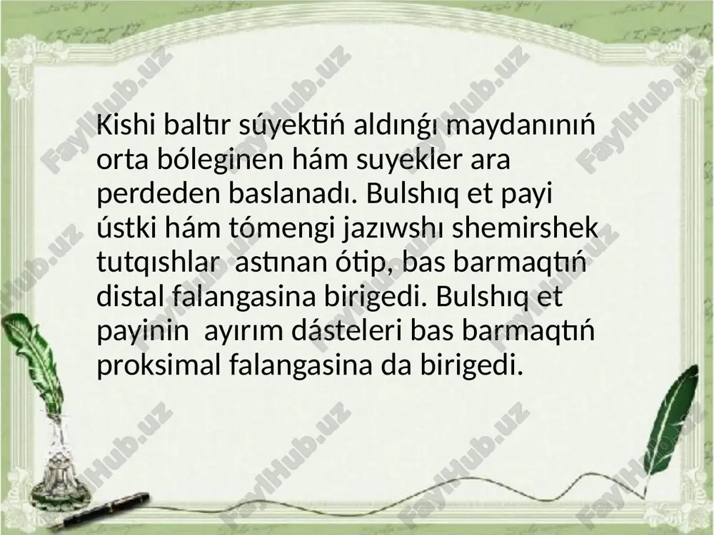aldingi ham artqi ayaq bulshiq etleri - Page 5