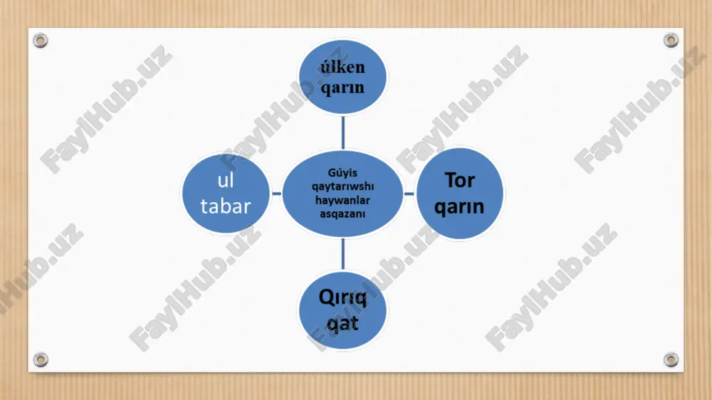 at hám shoshqalar asqazanında azıq sińiriliw qásiyetleri - Page 5