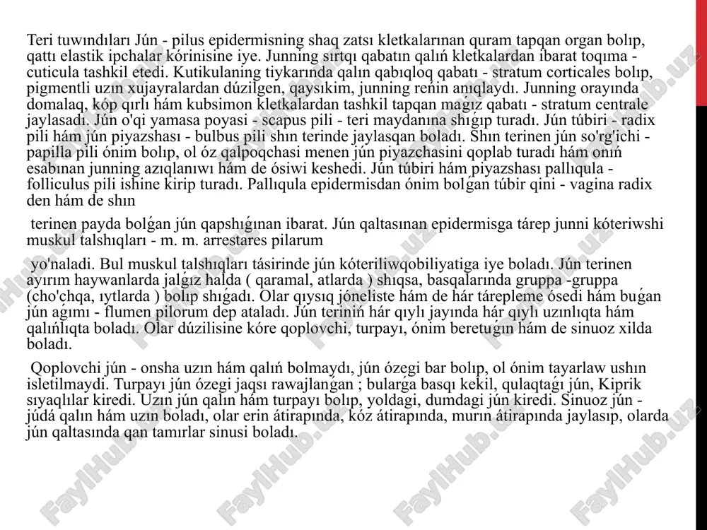qarı bólegi, qaptal diywalları, tiykarǵı bólegi hám de uchi parıq etedi. murındıń joqarıǵı bólegi - dorsum nasi murın boslig'ining qopqog'i bolıp esaplanadı. ol ólpeń murındıń qaptal diywalları - partes laterals nasi ga aylanıp baradı. murındıń tiykarǵı bólegi (túbiri) - radex nasi murın menen mańlay tarawı shegarasında jaylasadı, murındıń diywali hám de qaptal diywallarınıń dawamı esaplanadı. murın uchi - apex nasi joqarıǵı erin ústinde bolıp, ol jaǵdayda murın boslig'iga kirisiw tesigi, tanaw - nares jaylasadı. qaramalda bular salıstırǵanda kishilew, keń, domalaq, onsha úlken bolmaǵan, qanatsimon jiyek - sulcus alares kórinisinde boladı. murın katagi ortalıǵından qalıń, kem jıldam, murın qanatı - alae nasi arqalı shegaralanǵan. murın katekleri aralıǵinda teri oramı murın -erin yaltirog'i - planum nasolabiale ni payda etedi. murın boslig'i - cavum nasi bastıń júz bóliminde jaylasqan bolıp, hawa ótkeriw, iyis biliw, hawanı qizdırıw, ızǵarlaw hám onı tazalaw sıyaqlı wazıypalardı atqaradı. murın boslig'ining ónim bolıwında yamasa onıń kósher skeleti bolıp murın, …