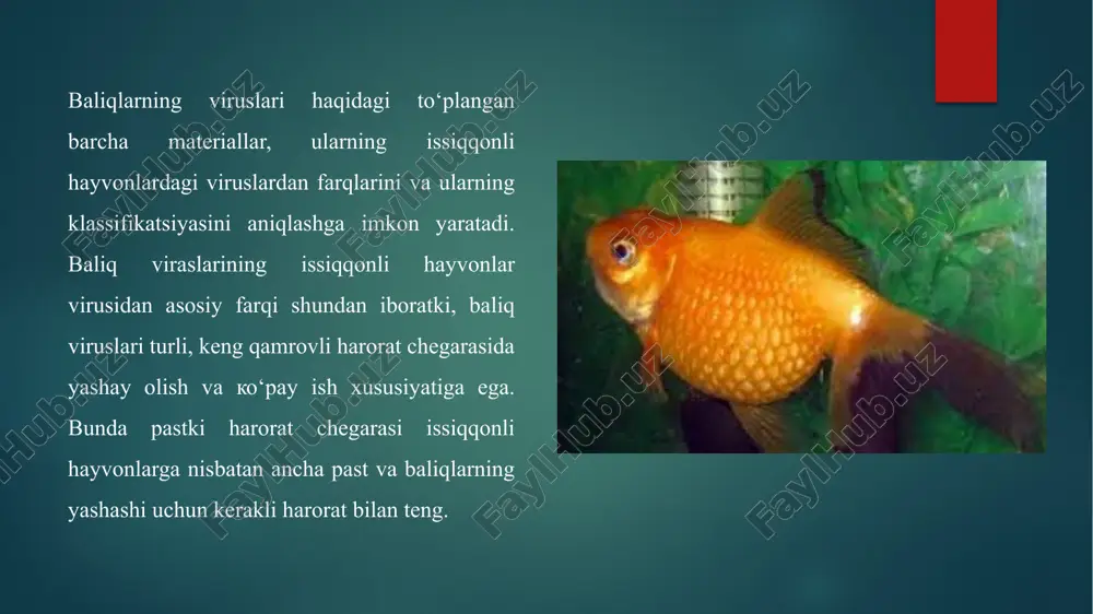 baliqlarning virusli kasalliklari - Page 5