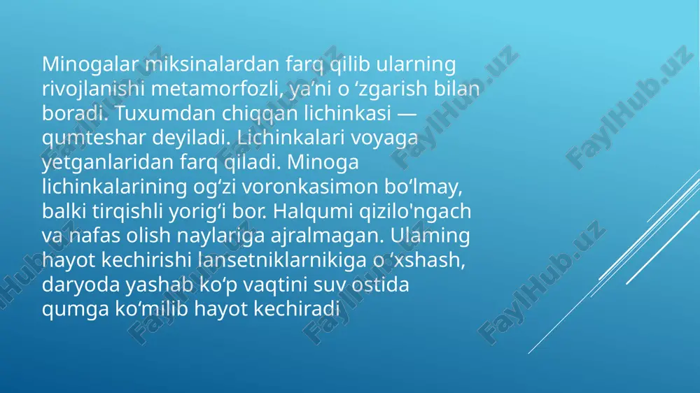 to’garak og’izlar - Page 5