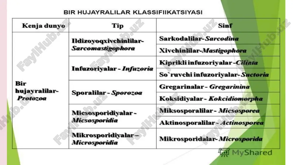 umurtqasizlar zoologiyasi - Page 5