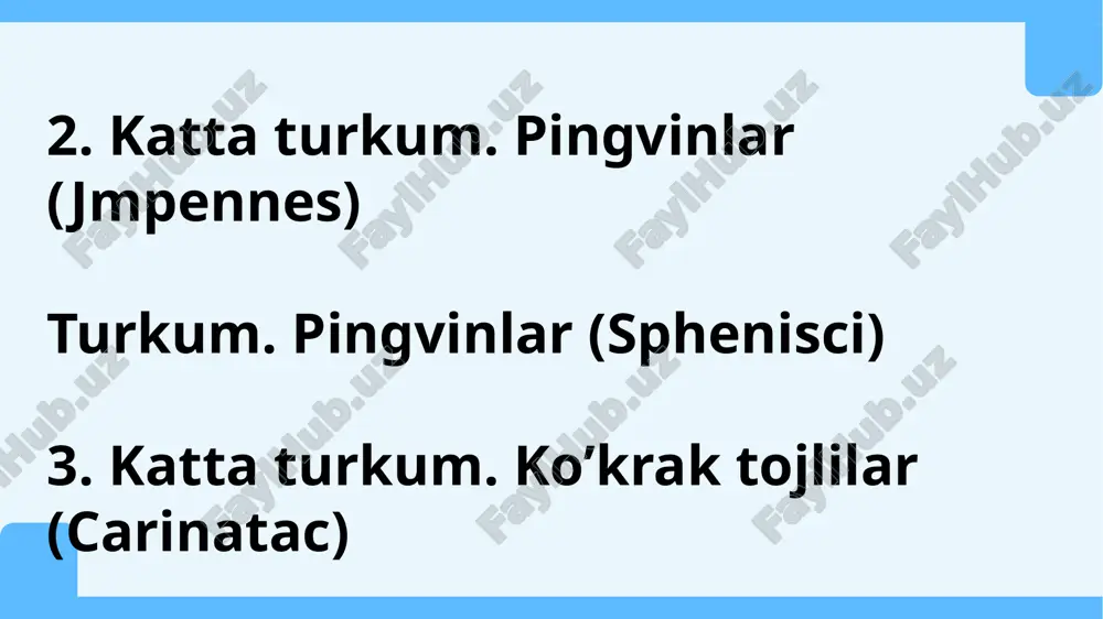 qushlarning sistematikasi - Page 5