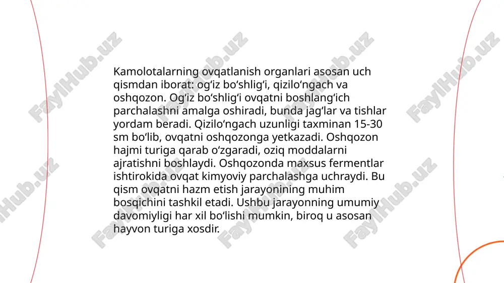 kanaxoʻr trips yetti nuqtali xonqizlarni morfologiyasini oʻrganish - Page 5