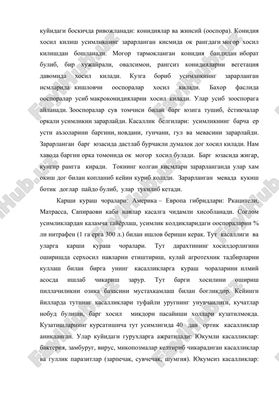силдорлигини оширишда серхосил навларни етиштириш, кулай агротехник тадбирларни куллаш билан бирга унинг касалликларга кураш чораларини илмий асосда ишлаб чикариш зарур. тут барги хосилини ошириш пиллачиликни озика базасини мустахкамлаш билан богликдир. кейинги йилларда тутнинг касалликлари туфайли уругнинг унувчанлиги, кучатлар нобуд булиши, барг хосил микдори пасайиши холлари кузатилмокда. кузатишларнинг курсатишича тут усимлигида 40 дан ортик касалликлар аникланган. улар куйидаги гурухларга ажратилади: юкумли касалликлар: бактерия, замбуруг, вирус, микопозмалар келтириб чикарадиган касалликлар ва гуллик паразитлар (зарпечак, сувчечак, шумгия). юкумсиз касалликлар: об – хавонинг нокулай келиши, гаримсел, кишнинг совук келиши, тупрокда айрим моддаларнинг етишмаслиги ёки ортиклиги. республикамиз шароитида тут усимлигида бактериоз ва бактериал рак касалликлари учрайди. тутнинг бактериоз касаллигини кузгатувчиси – bacterium mori бактерияси булиб, касаллик урта осиё, закавказье, япония, европа, ж.африка, америка, австрия шароитида куп учрайди. республикамиз шароитида бу касаллик 1931 йил н.г.запрометев томонидан аникланган. касаллик туфайли тутнинг энг учки барглар, бир йилликновдаси ва куртаклар зарарланади. касал баргларда окиш хошияли кейинчалик орамтир ёгсимон доглар …