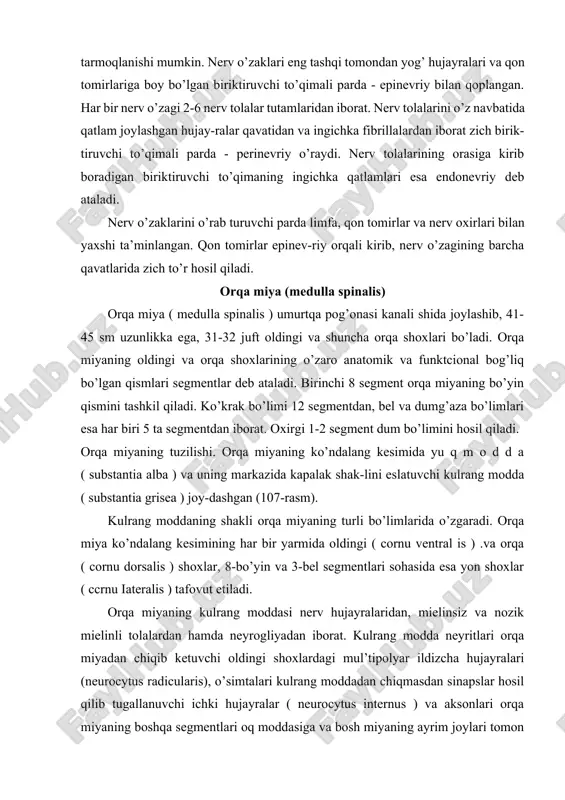 orqa miyaning boshqa segmentlari oq moddasiga va bosh miyaning ayrim joylari tomon yo’naluvchi o’tkazuv yo’lini hosil qilgan tutamli hujayralardan ( neurocytus funicularis ) iborat. shunday qilib, mul’tipolyar nerv hujayralari kulrang moddaning tar-kibiy qismidir. 107-rasm. orqa miya (sxema)., 1 - yumshoq parda; 2-orqa mnya oraliq tusig’i; 3 - oq modda. 4 - markaziy nay; 5 - orqa shox; 6 - oldingi shox; 7 - mul’tipolyar oki harakatlantiruvchi nerv hujayralari; 8 -• kul-rang modda, 9 - oldingi oraliq yoriq. orqa shoxlar joylashgan erda orqa miyaga periferiyadan turli impul’slar olib keluvchi orqa ildizcha kiradi. orqa shox-larda ta’sirni o’tkazishga tegishli bo’lgan hujayra tanalari joylashgan. orqa miyaning oldingi shoxlarida esa periferik harakat neyronlarining tanalari bo’lgan yirik hujayralar joylashgan. bu hujayralarning aksonlari oldingi ildizchani hosil qiladi. oldingi ildizchaning tarkibiga tanalari orqa miyaning yon shoxlarida joylashgan vegetativ neyronlarning ak-sonlari ham kiradi. shunday qilib, orqa ildizchalar sezish vazifasini bajaruvchi nerv tolalari tutamlaridan iborat. oldingi ildizchalar aso-san harakatlantiruvchi bo’lib, …