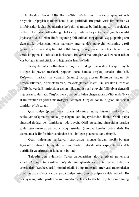 ki taloq tasmalari (chordae lienalis) deb ataladi. bu tasmalarda b-limfotsitlar va ulardan hosil bo’lgan plazmotsitlar uchraydi. qizil pulpaning retikulyar stromasida monotsitlardan hosil bo’lgan fagotsitoz qiluvchi hujayralar – makrofaglar (taloqda ular «splenotsitlar» deb yuritiladi) va eritrotsitlar juda ko’p bo’ladi. taloqda qon aylanishi. taloq darvozasidan taloq arteriyasi (a.lienalis) kiradi. arteriya trabekulalar bo’ylab tarmoqlanadi va bu tarmoqlar trabekula arteriyalari (a.trabecularis) nomini oladi. so’ng trabekula arteriyasi trabekuladan qizil pulpaga o’tadi va bu yerda pulpa arteriyasi (a.pulparis) deb ataladi. bu arteriyaning tashqi pardasida ko’p miqdorda elastik tolalar bo’lib, ular tomirlarning cho’zilishi yoki qisqarishini ta’minlaydi. arteriya limfatik follikulga kirish oldidan t-, b-limfotsitlar va plazmotsitlardan iborat limfatik qin bilan o’raladi. bu qinlarni oq pulpaning o’simtasi deb hisoblash mumkin. arteriya limfatik follikulning chekka qismidan o’tadi va markaziy arteriya (a.centralis) yoki follikul arteriyasi (a. limphonoduli) deb ataladi. follikuldan chiqqanidan so’ng markaziy arteriya o’zaro anastomoz hosil qilgan bir necha tarmoqchalarga bo’linadi. bular popuksimon yoki barmoqsimon arteriolalar (arteriola penicillaris) deyiladi. popuksimon …
