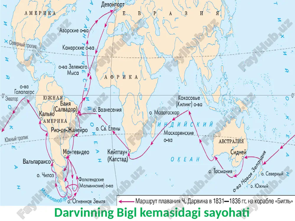 hayvonlar evolyutsiyasi va ekalogiyasi - Page 5